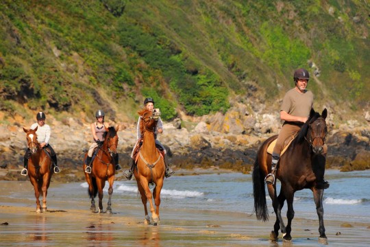 Ballade cheval - Activités - Canggu