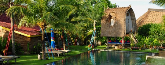 Desa Seni - Yoga - Canggu
