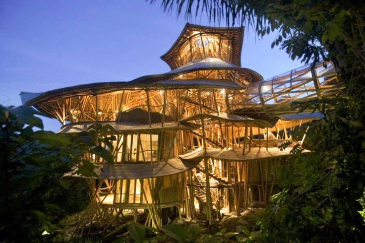 Maison bambou aarau