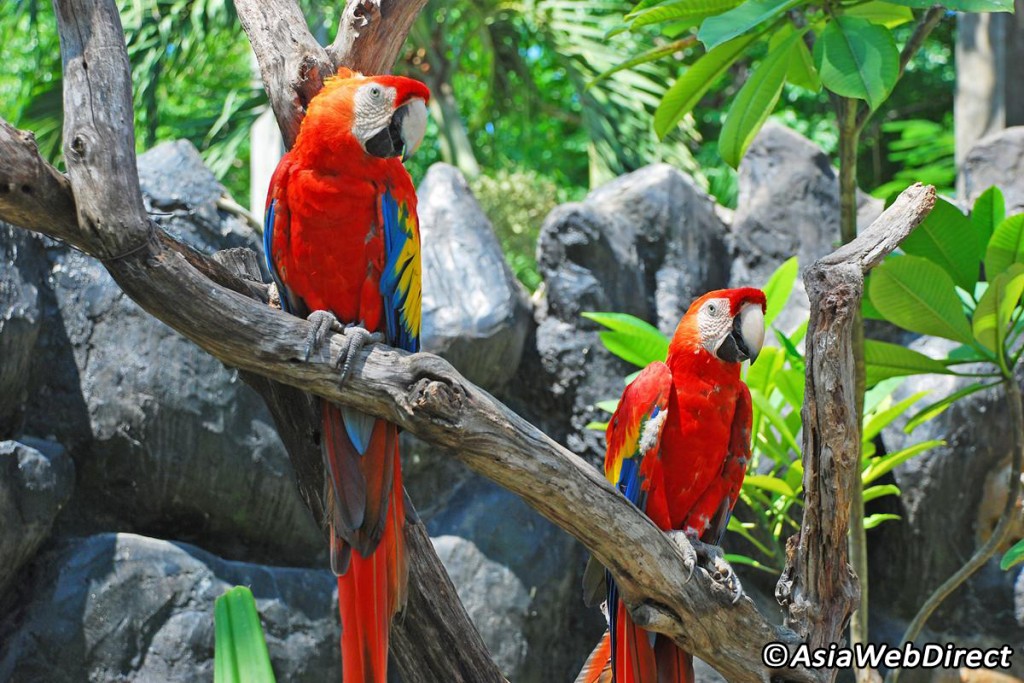 Bird Park - Activités Gili