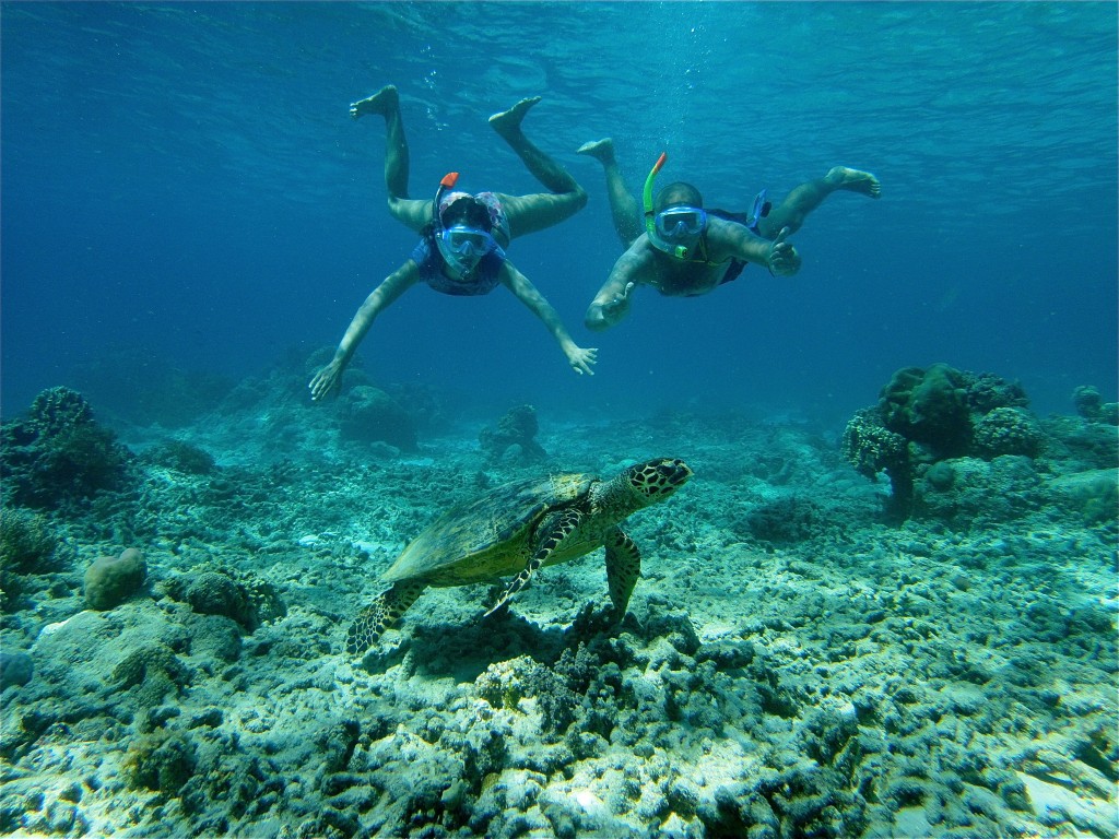 Plongée - Iles Gili 