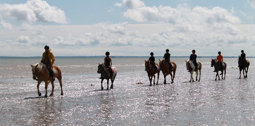 Promenade à cheval - activités Gili