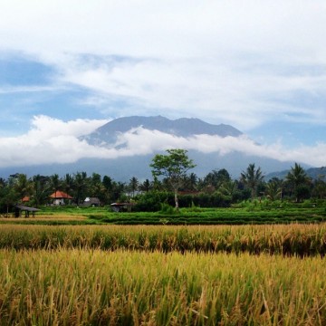 Est de Bali