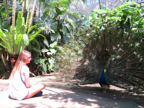 Shanti Travel - voyage à Bali - Bali Reptile Bird Parc