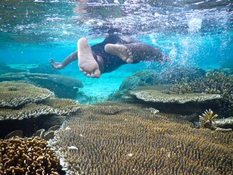 Shanti Travel - voyage à Bali et Komodo - plongée