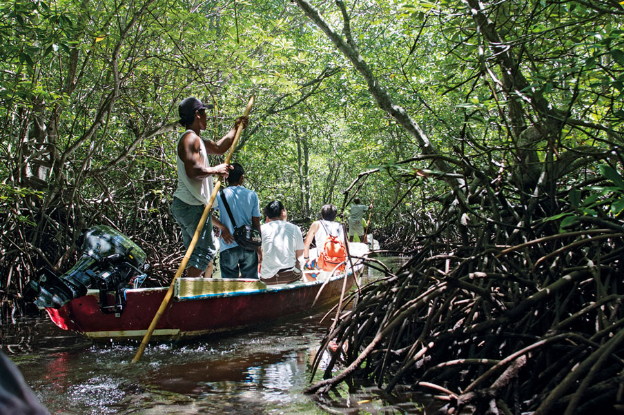 Verdoyante, la mangrove de Nusa Lembongan est encore sauvage. (Crédit photo : nowbali.co.id)