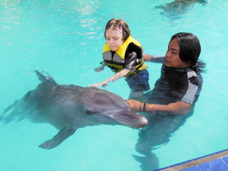 Si l'hôtel ne délivre pas de soins médicaux, les dauphins permettent un véritable accompagnement dans le processus de guérison. (Crédit photo : www.melkahotel.com)