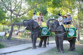 La balade à dos d'éléphant laisse des souvenirs inoubliables. (Crédit photo : ydcbalitour.com