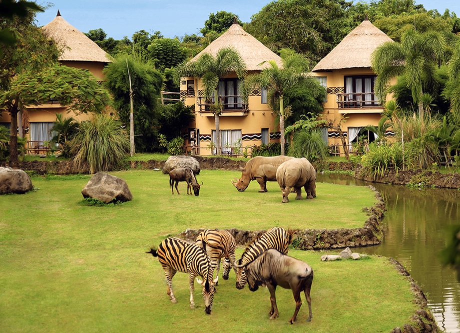 Avec sa faune très riche (plus de 60 espèces différentes), le Bali Safari & Water Park propose un safari hors-norme. (Crédit photo: balisafarimarineprk.com)